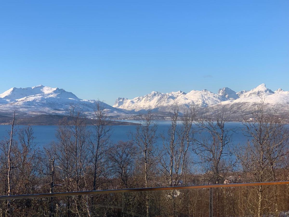 Enter Luxury Tromso
